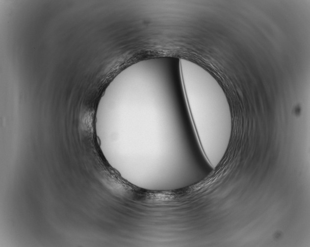 X0000101100286200806261052