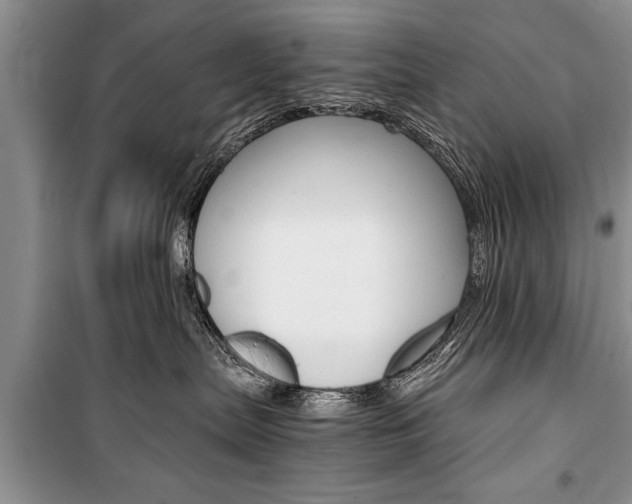 X0000101100287200806261052