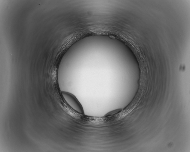 X0000101100288200806261052