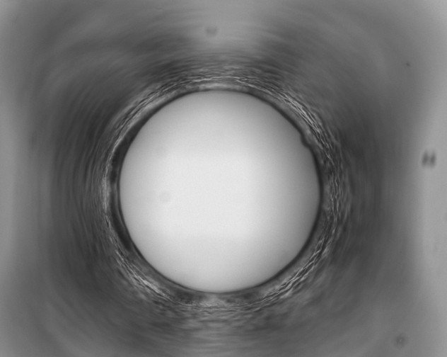 X0000101100290200806261051
