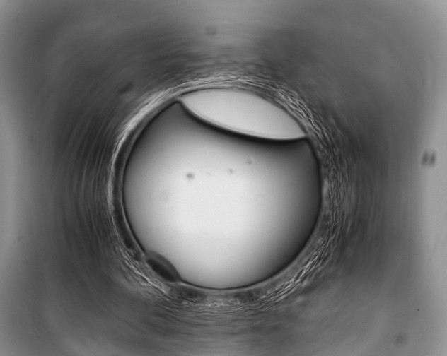 X0000101100292200806261051