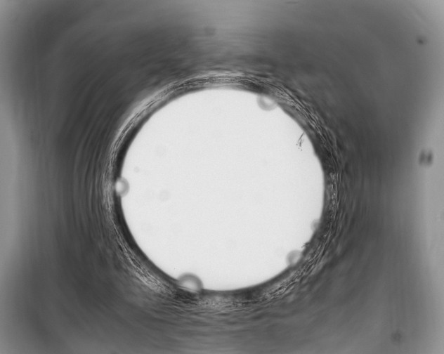X0000101100293200806261051