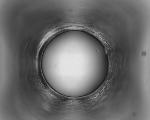 X0000101100296200806261051