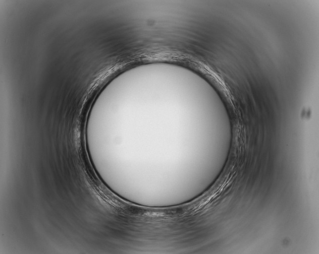 X0000101100298200806261051