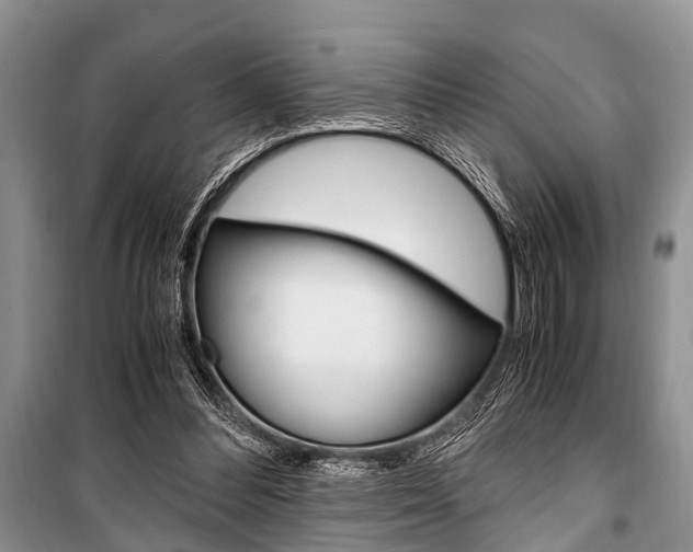 X0000101100300200806261051