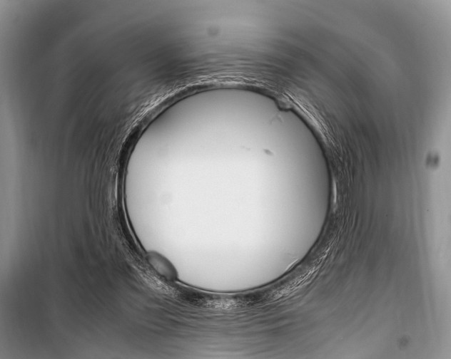 X0000101100301200806261051