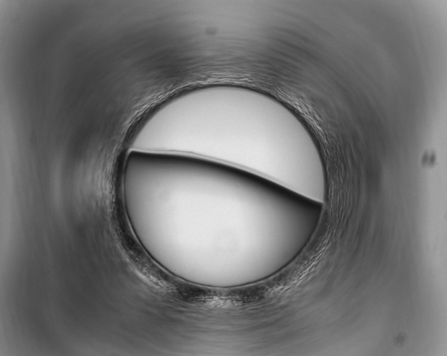X0000101100303200806261051