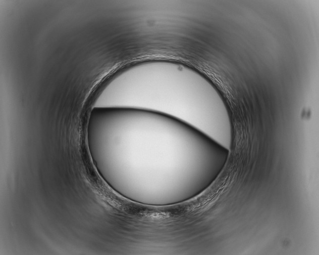 X0000101100304200806261051