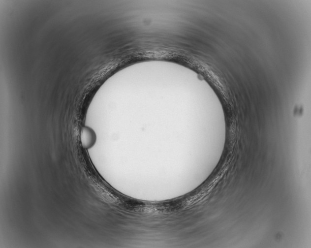 X0000101100305200806261051