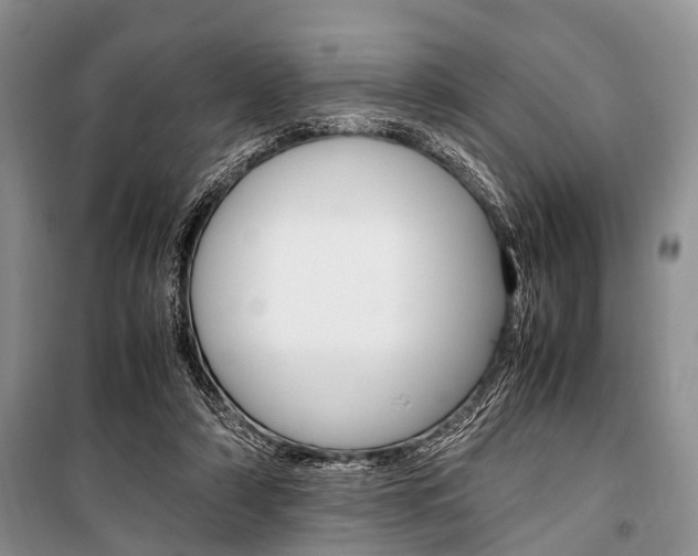 X0000101100306200806261051
