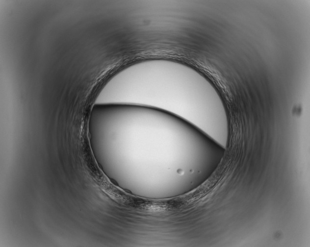 X0000101100308200806261051