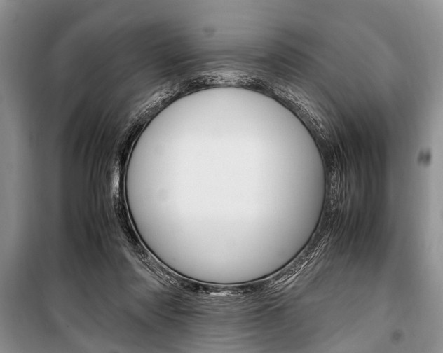 X0000101100310200806261051