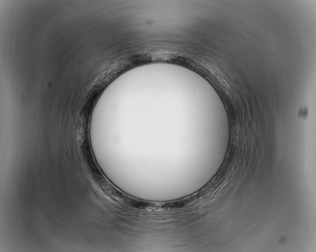 X0000101100311200806261051