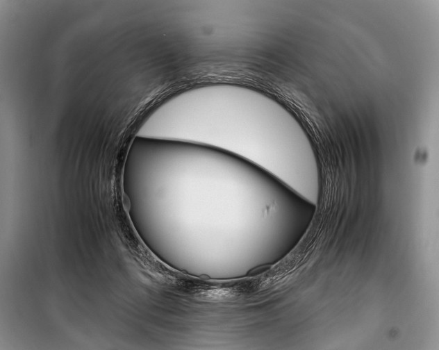 X0000101100312200806261051