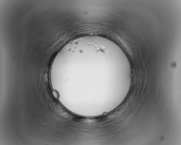 X0000101100313200806261051