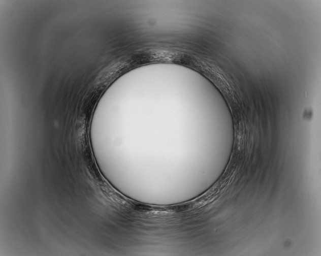 X0000101100314200806261051