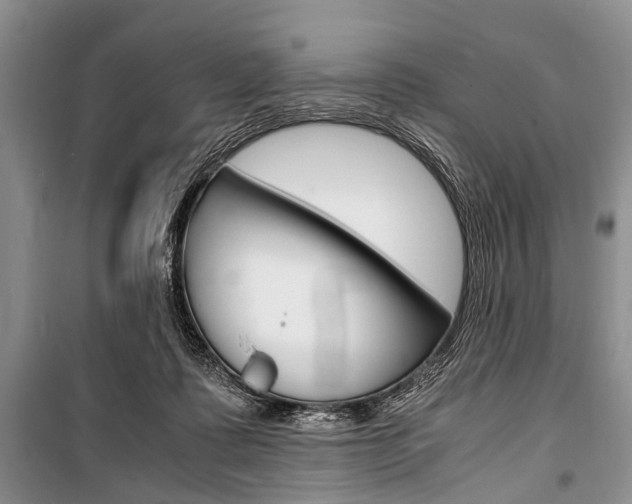 X0000101100315200806261051