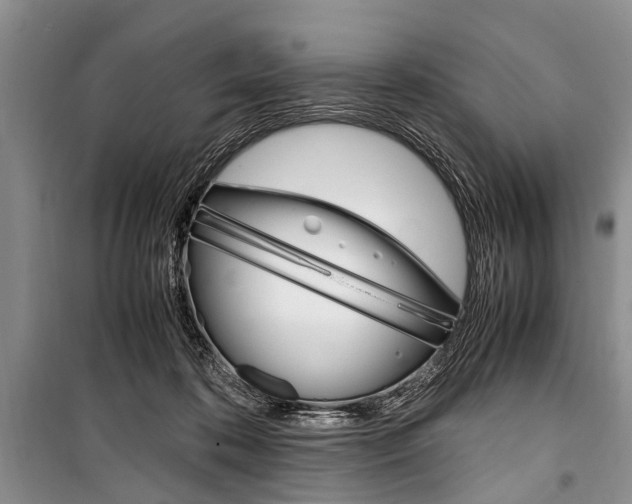 X0000101100316200806261051