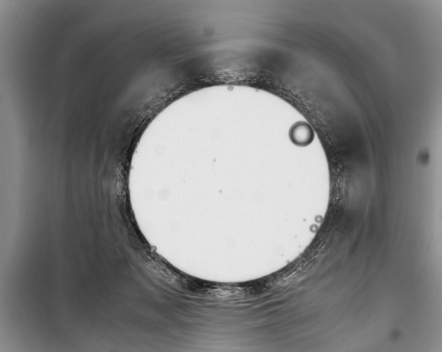 X0000101100317200806261051