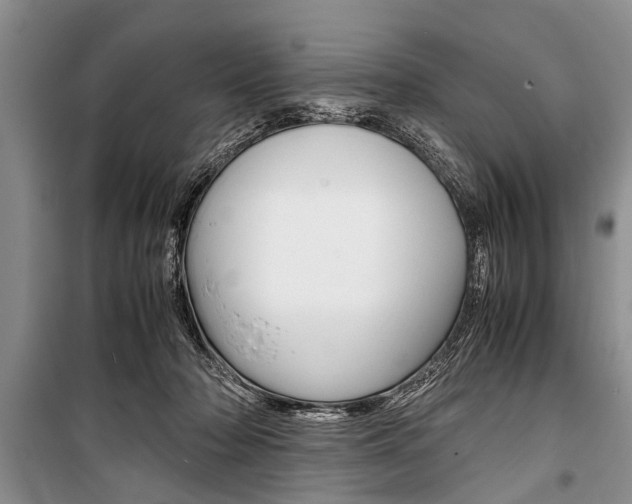 X0000101100318200806261051