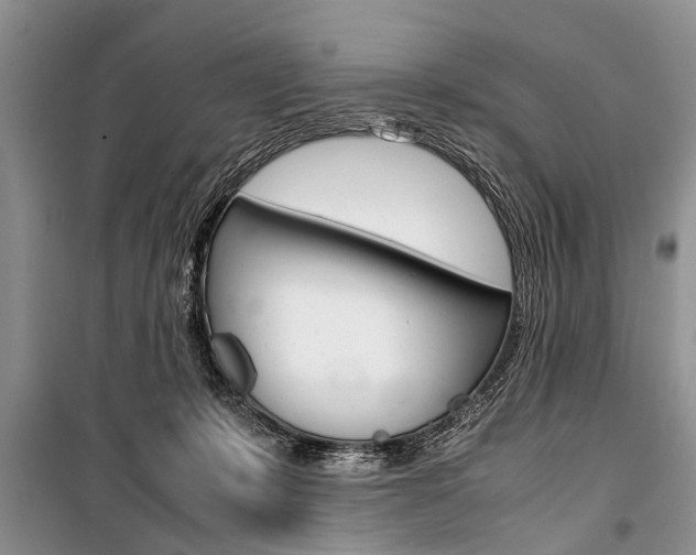X0000101100319200806261051