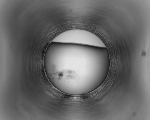 X0000101100320200806261051