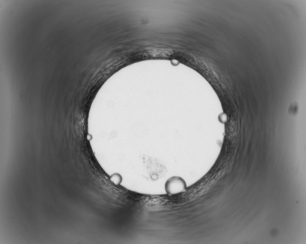 X0000101100321200806261051