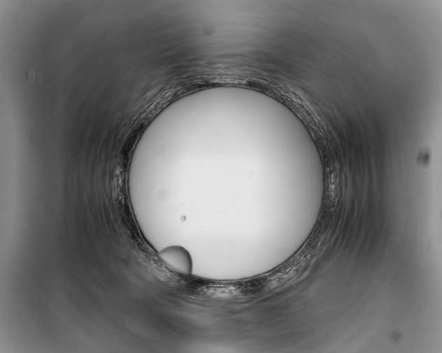X0000101100322200806261051