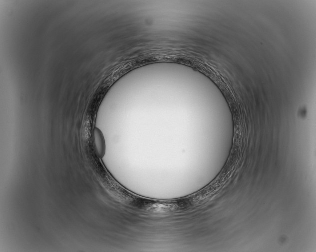 X0000101100323200806261051