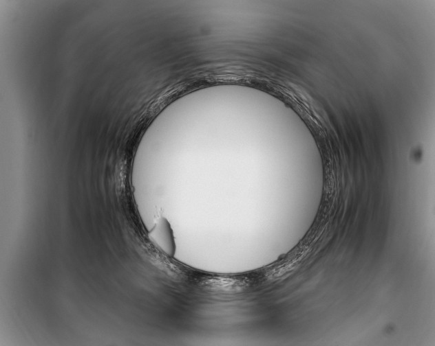X0000101100326200806261051