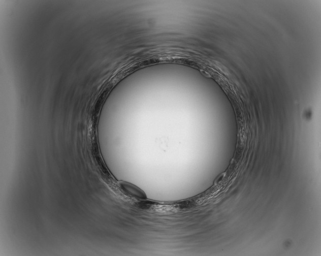 X0000101100327200806261051