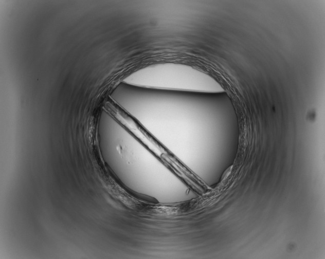 X0000101100328200806261051