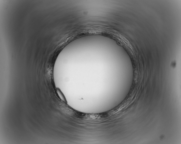 X0000101100329200806261051