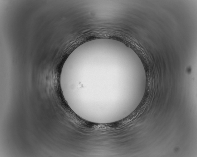 X0000101100331200806261051