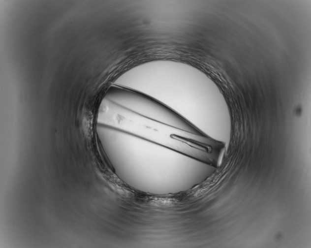 X0000101100332200806261051