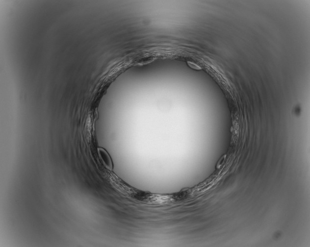 X0000101100333200806261051