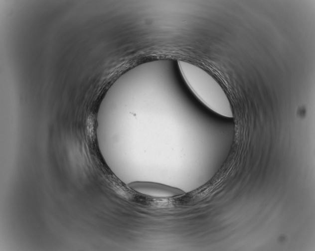 X0000101100335200806261051