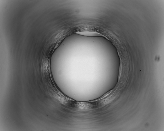 X0000101100336200806261050