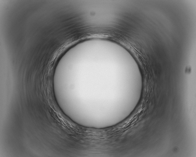 X0000101100337200806261050