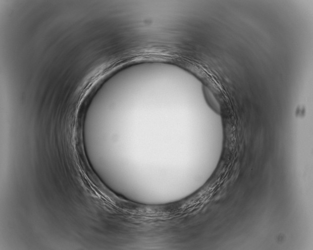 X0000101100338200806261050