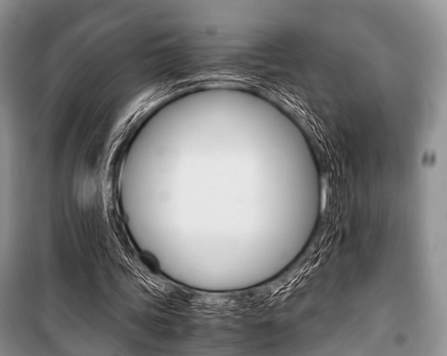 X0000101100339200806261050