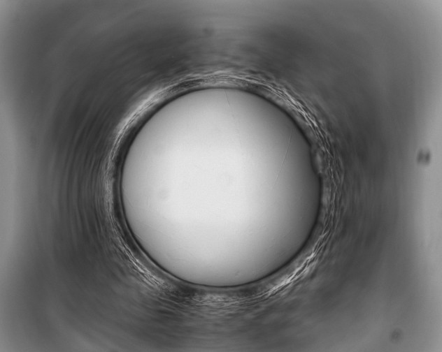 X0000101100341200806261050