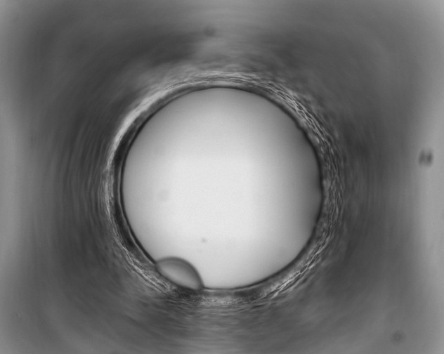 X0000101100342200806261050