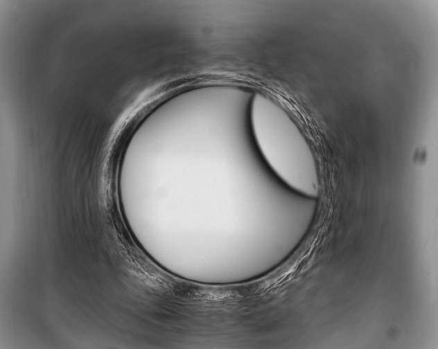 X0000101100343200806261050