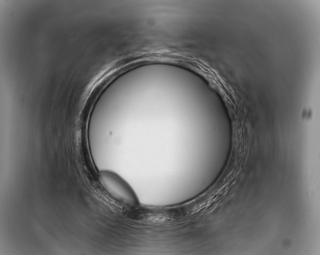 X0000101100344200806261050