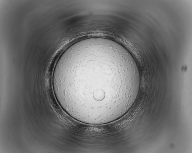 X0000101100347200806261050
