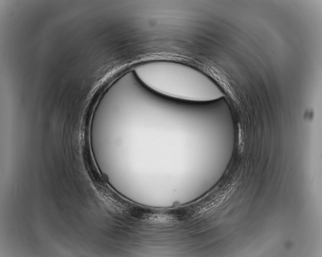 X0000101100348200806261050