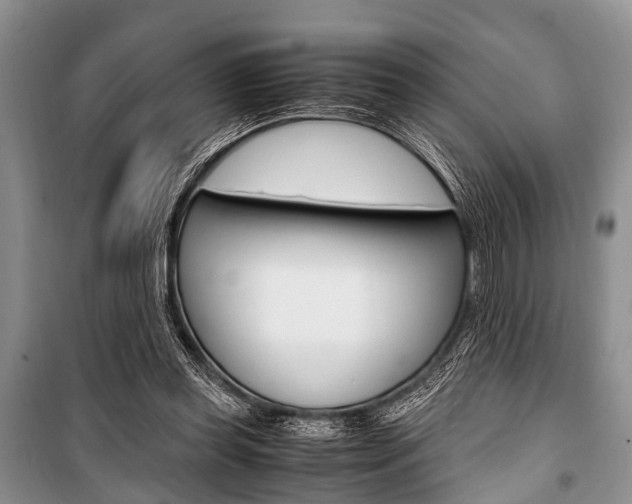 X0000101100349200806261050