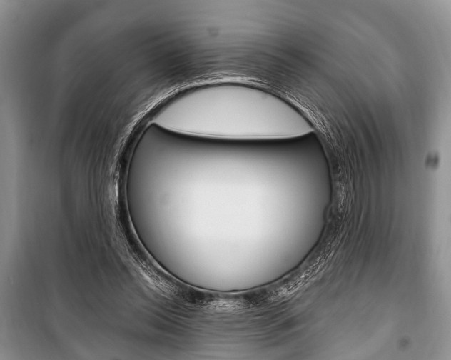 X0000101100350200806261050