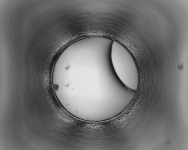 X0000101100351200806261050